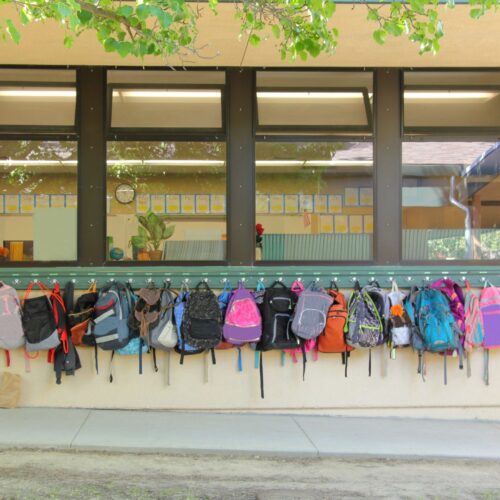 preschool backpacks lined up